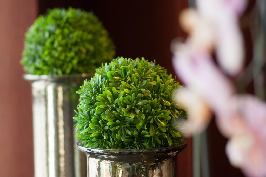Xavin Wellness Hotel & Restaurant Harkány Εξωτερικό φωτογραφία